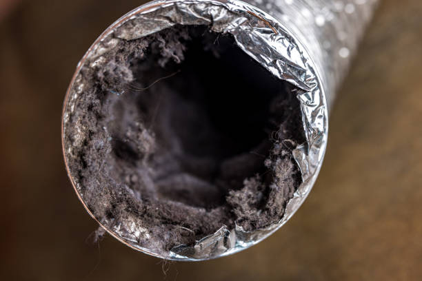 Best Air Duct Cleaning Near Me  in Lake Forest Park, WA