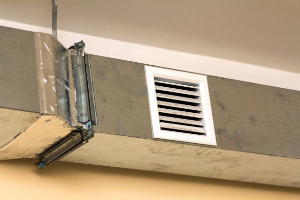 Best Air Vent Cleaning Services  in Lake Forest Park, WA